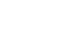 seat, seat forhandler, seat viborg